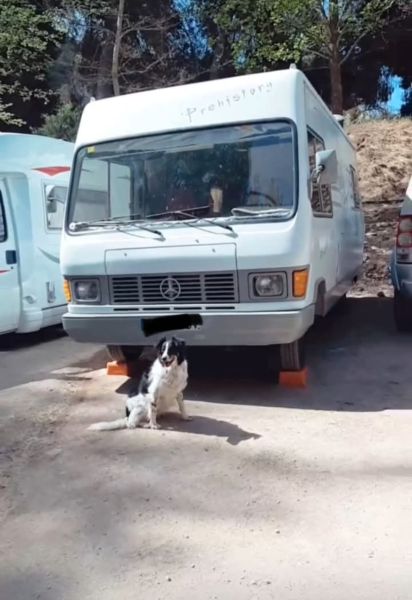 En venta Mercedes-Benz Daimler  Blanco 1982 Illes Balears foto 9