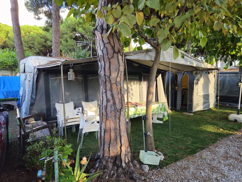 En venta Eifelland 520 tkm Blanco 2005 Barcelona foto 7