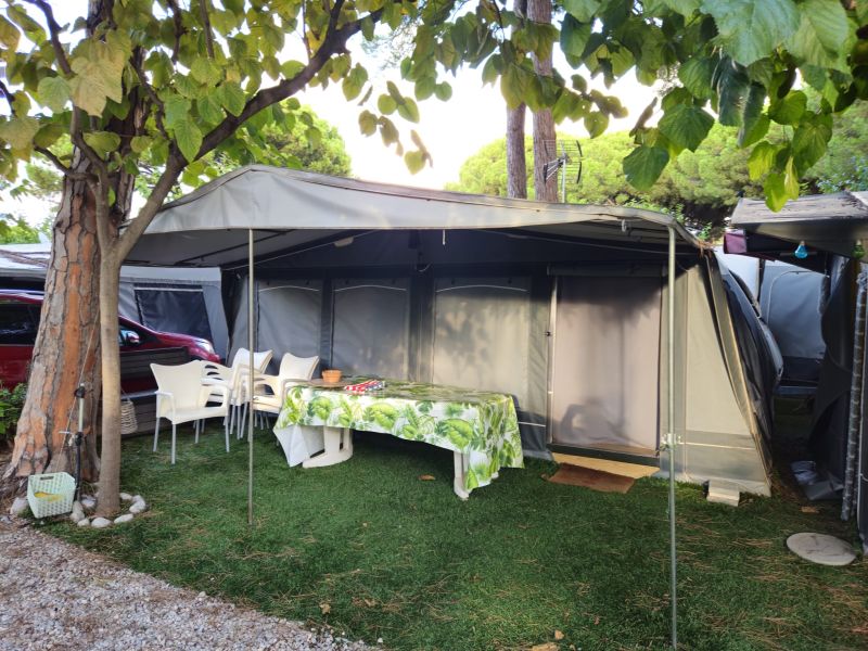 En venta Eifelland 520 tkm Blanco 2005 Barcelona foto 8