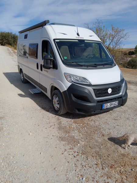 En venta Forster Vantasy Blanco 2023 Granada foto 1